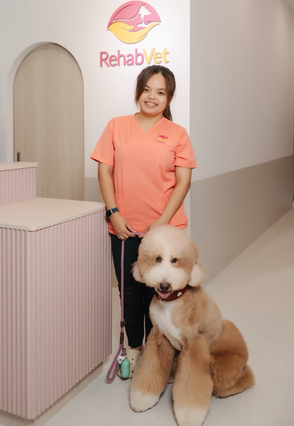 Palliative Mobility Support — RehabVet Singapore clinic at RehabVet Singapore