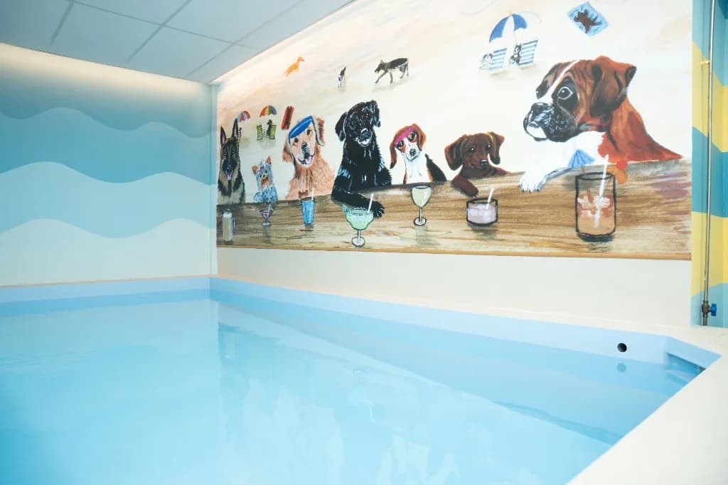 Hydrotherapy pool with blue water, beach bar dog mural, wave wall