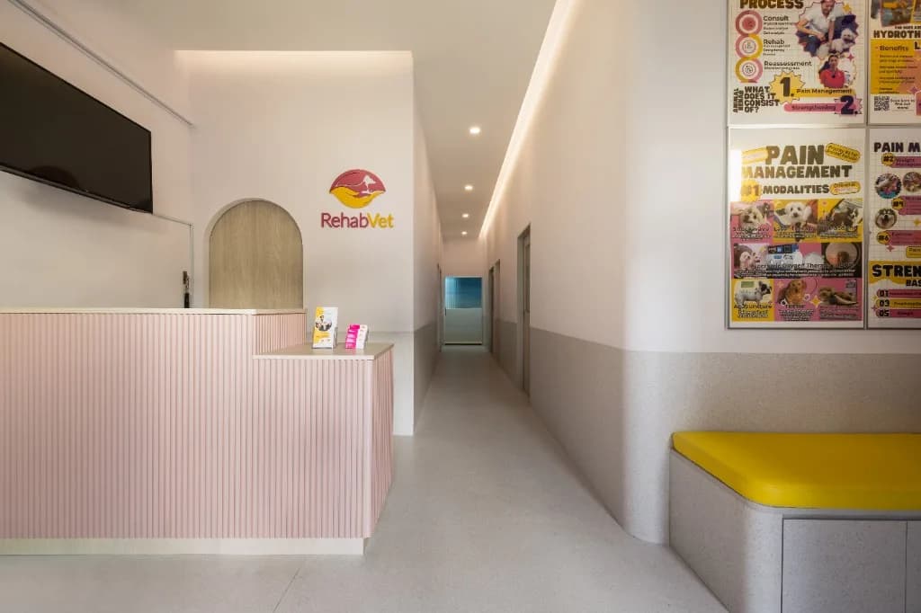 Reception area — pink counter, RehabVet logo, yellow bench