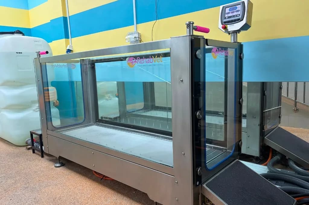 Underwater treadmill with glass sides, RehabVet logo, and yellow-blue striped wall