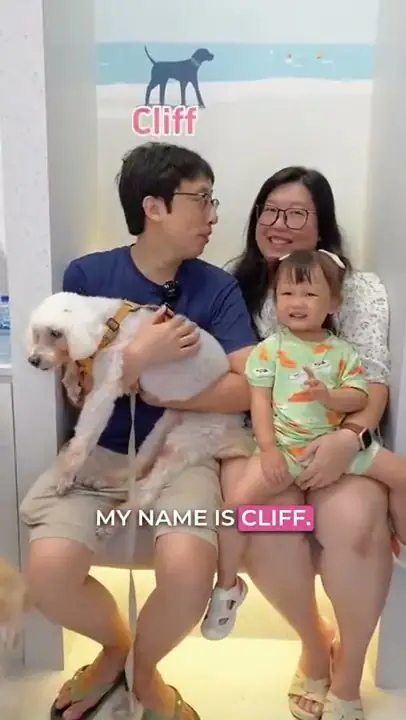 Sarcopenia (Age-Related Muscle Loss) — patient story at RehabVet Singapore
