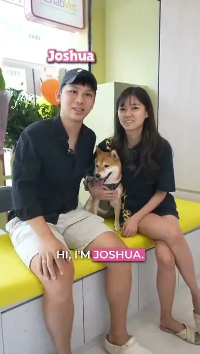 Acute Soft-Tissue Inflammation — patient story at RehabVet Singapore