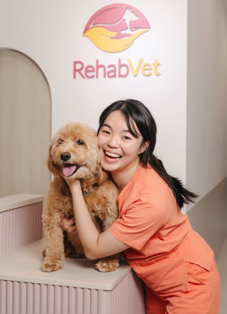 Hazel Lim in peach scrubs smiling and hugging a fluffy golden curly dog at the RehabVet clinic counter