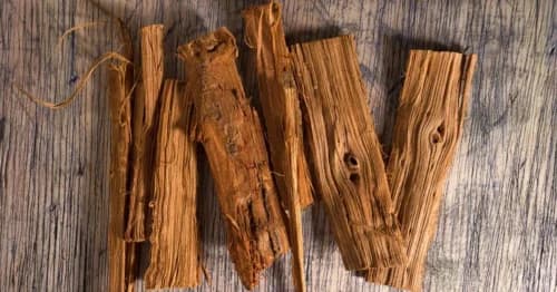 Cat’s Claw for Dogs