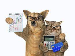 Navigating The Cost of Pet Rehabilitation: Insurance and Payment Options