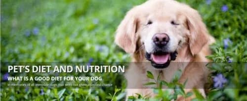 Pet’s Diet & Nutrition