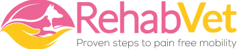 RehabVet veterinary rehabilitation clinic logo