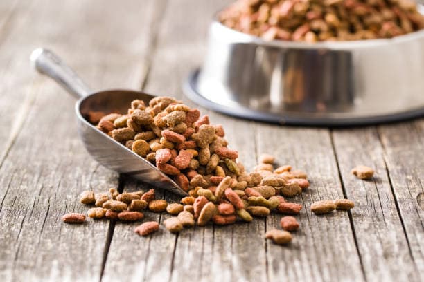 Top 17 Pet Food Brands in Singapore (2026)