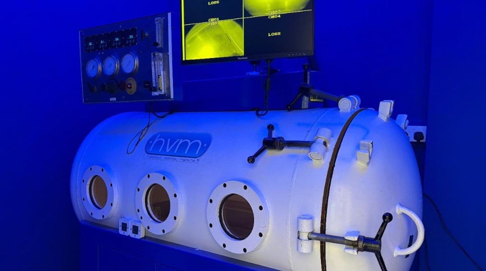 Hyperbaric Oxygen Therapy for Pets in Singapore
