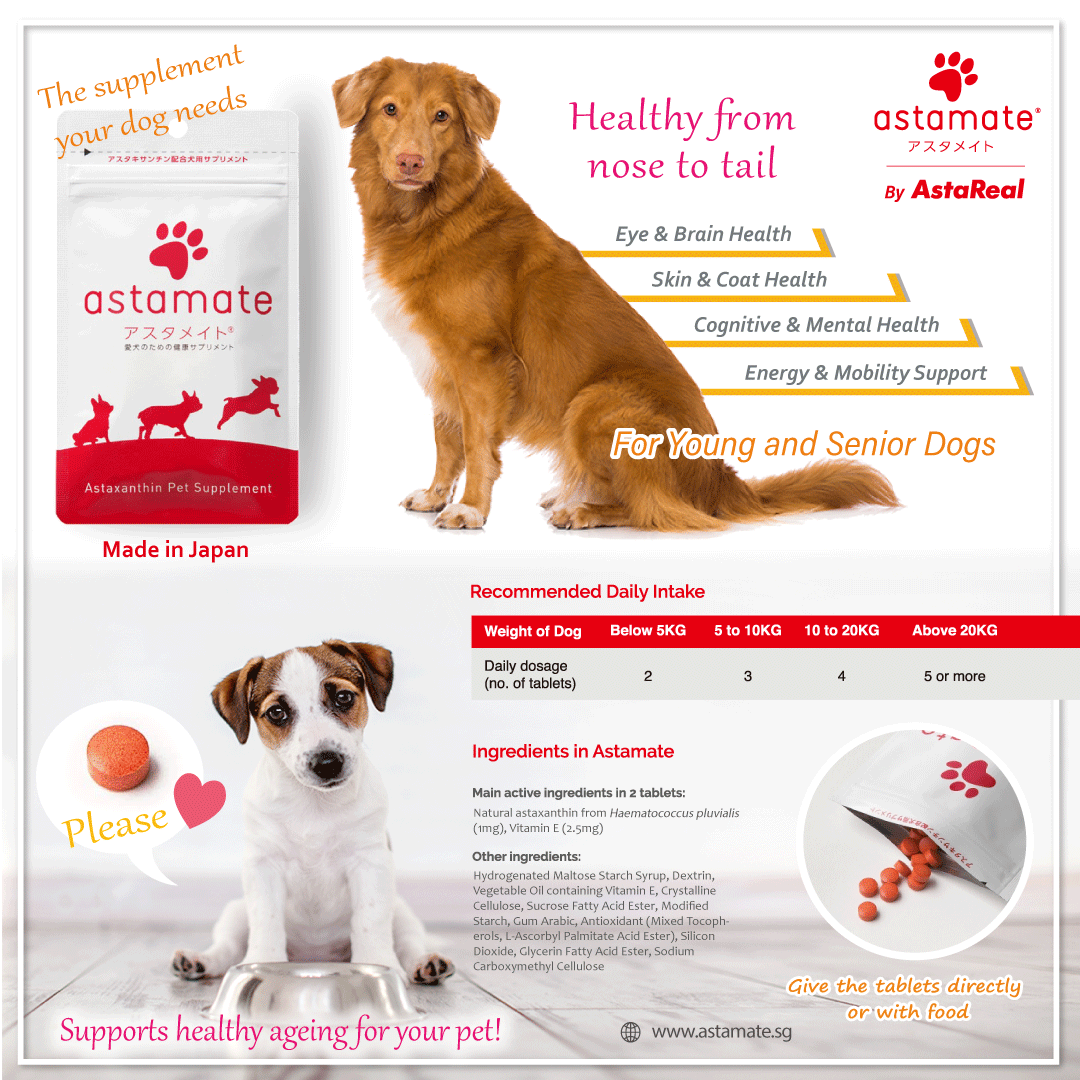 Astaxanthin 2025 for dogs