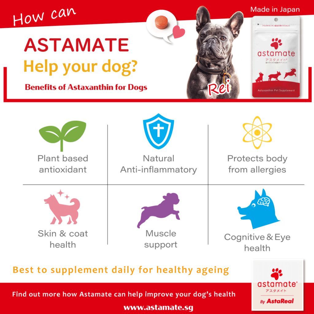 How can astamate help your dog