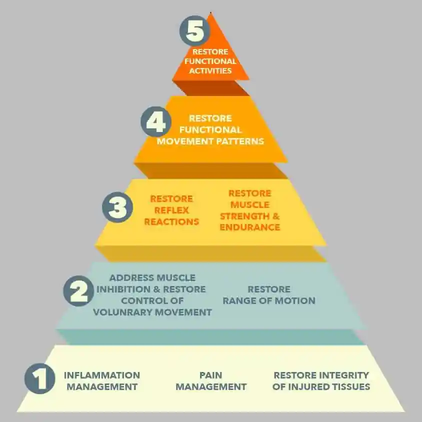 Pyramid of importance for animal rehabilitation and management