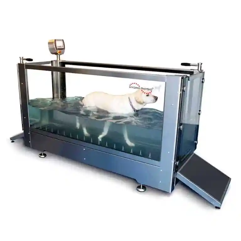 Dog in under water treadmill running