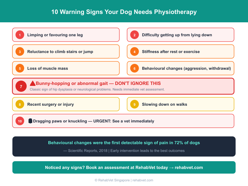 10 warning signs your dog needs physiotherapy checklist infographic