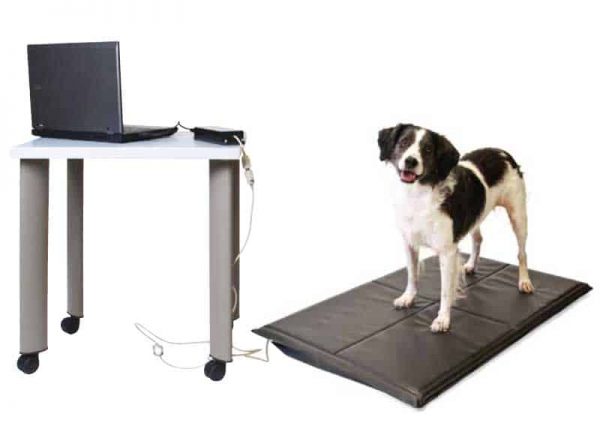 stance-analyzer-your-first-visit